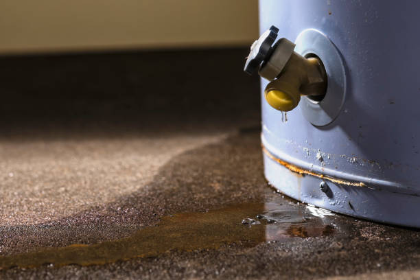 Best Carpet water damage restoration  in Crest View Heights, NY