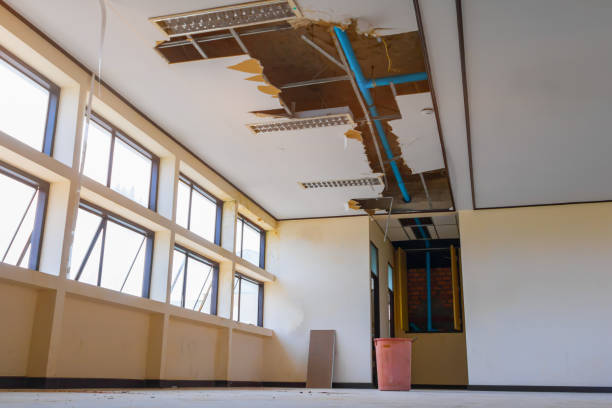 Best 24-hour water damage restoration  in Crest View Heights, NY