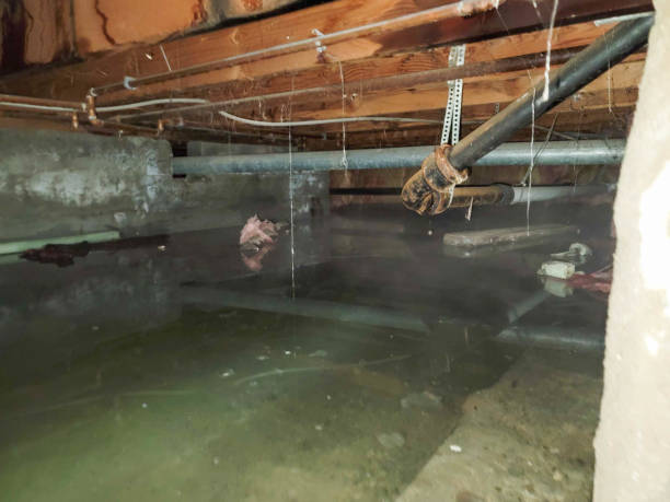 Best Flood restoration services  in Crest View Heights, NY
