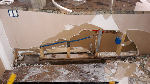 Best Ceiling water damage repair  in Crest View Heights, NY