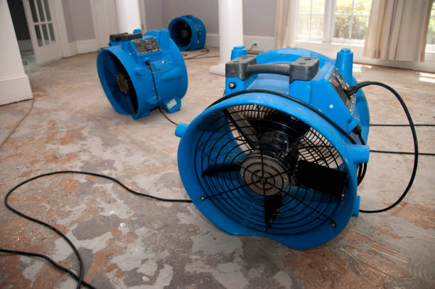Best Emergency water damage restoration  in Crest View Heights, NY