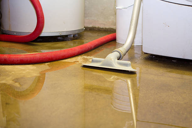 Best 24/7 water damage repair  in Crest View Heights, NY