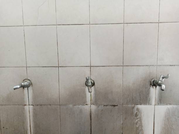 Best Carpet water damage restoration  in Crest View Heights, NY