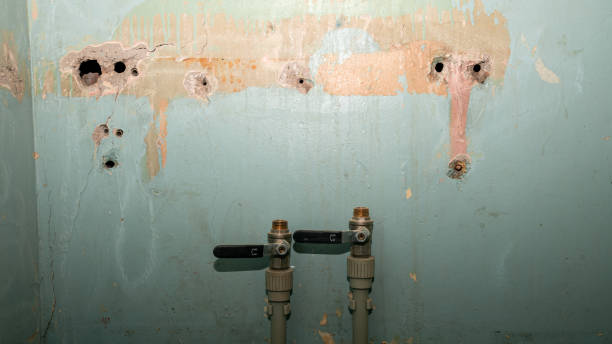 Best Basement water damage restoration  in Crest View Heights, NY