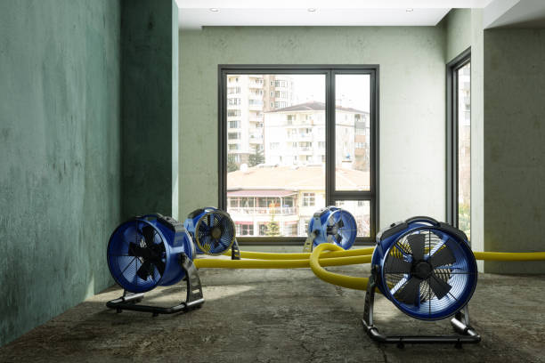 Best Water damage restoration near me  in Crest View Heights, NY
