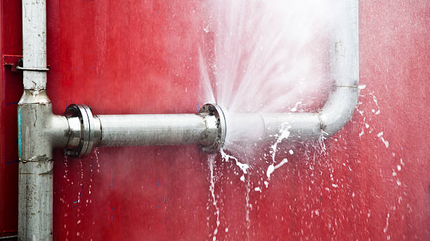 Best Carpet water damage restoration  in Crest View Heights, NY